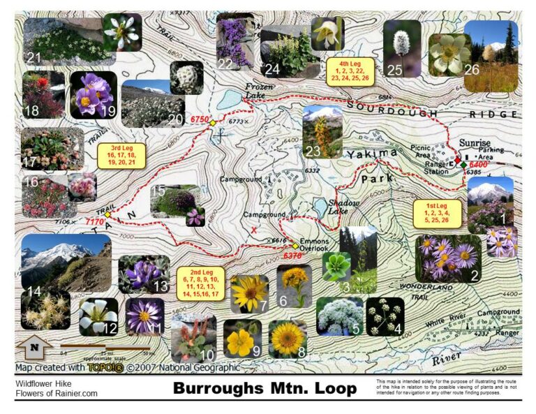 Burroughs Mountain Hike - Map