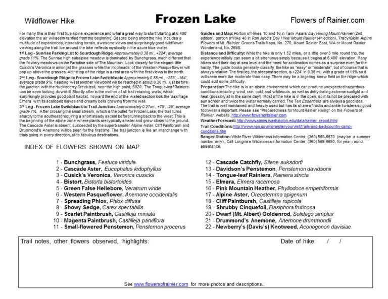Frozen Lake Guide