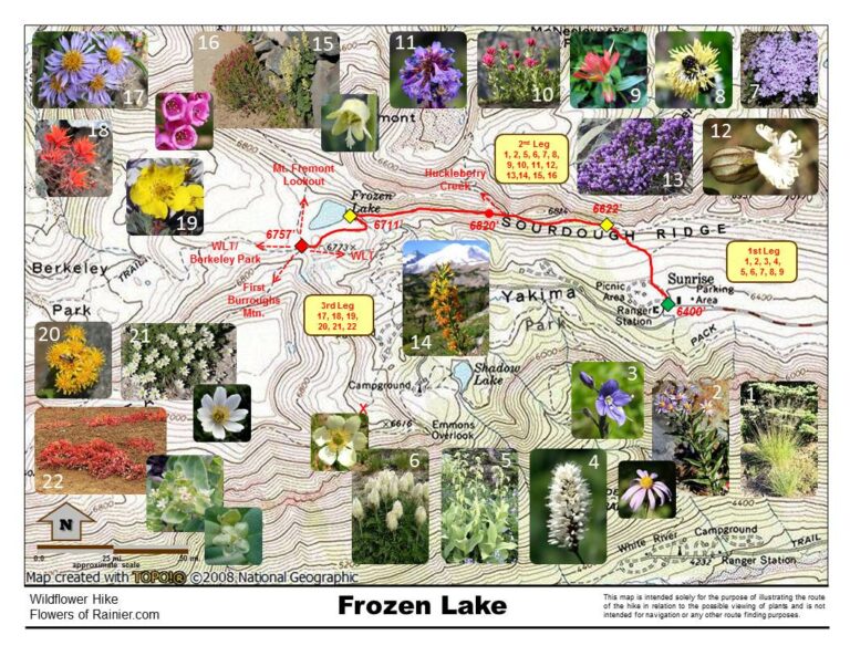Frozen Lake Map