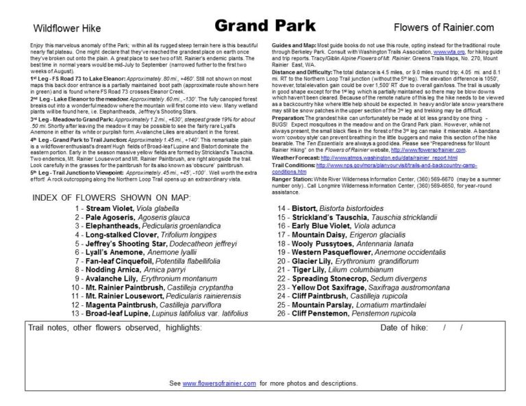 Grand Park Guide