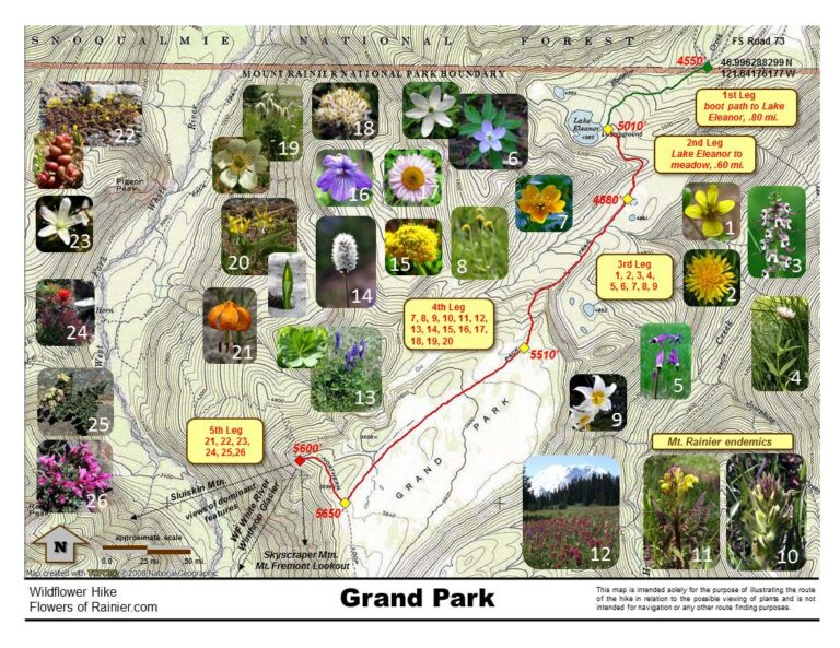 Grand Park Map