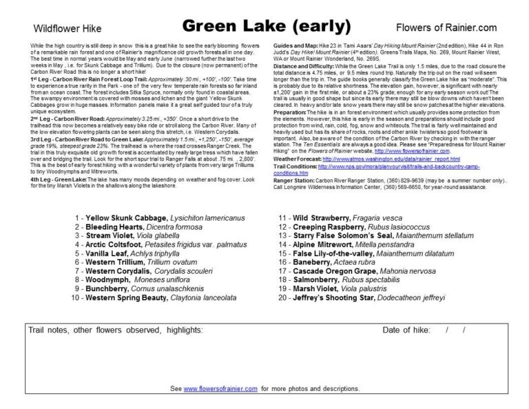 Green Lake Guide