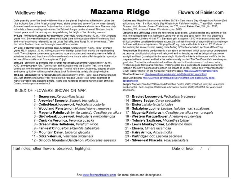Mazama Ridge Guide