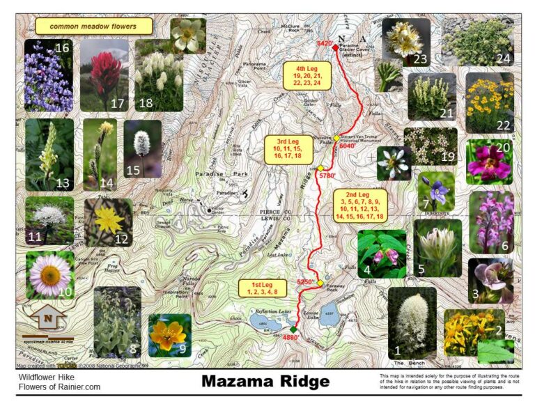 Mazama Ridge Map