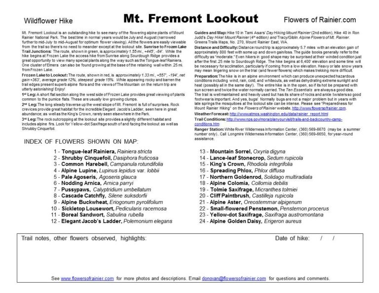Mt. Fremont Lookout Guide