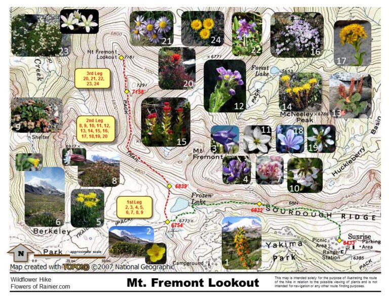 Mt. Fremont Lookout Map