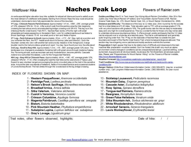 Naches Loop Guide