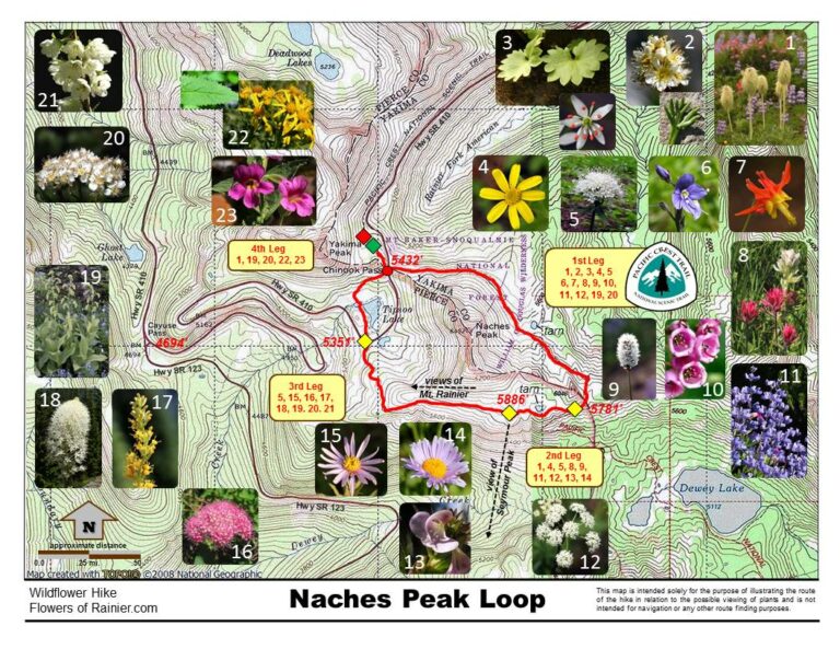 Naches Loop Map