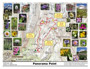 Panorama Point Map