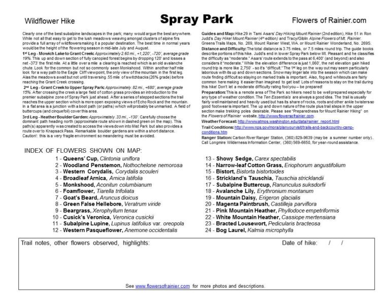 Spray Park Guide