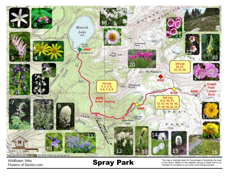 Spray Park Map