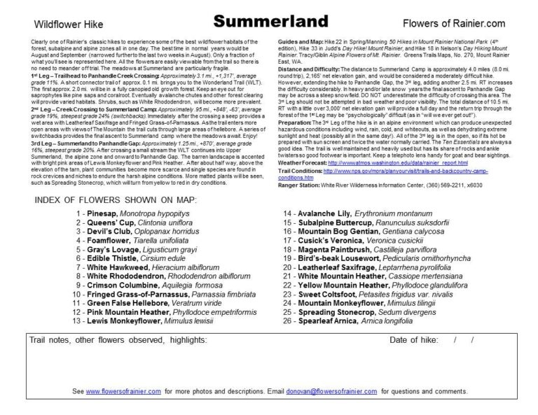 Summerland Guide