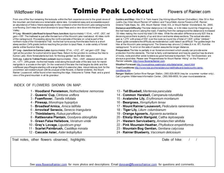 Tolmie Peak Guide
