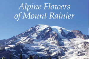 Alpine Flowers of Mount Rainier Guide - featured image