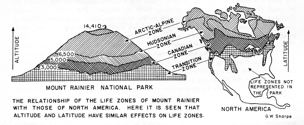 Mount Rainier Zones map