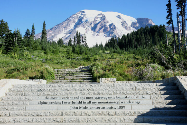 Muir Steps at Mount Rainier