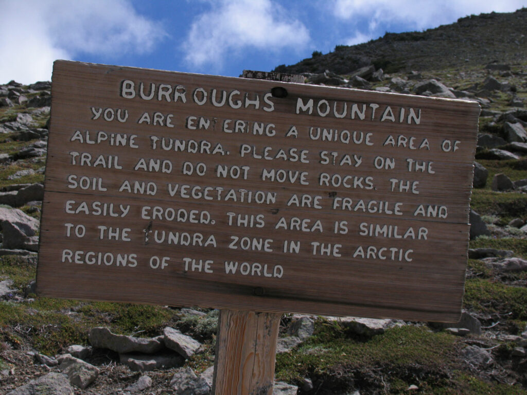 Burroughs Sign