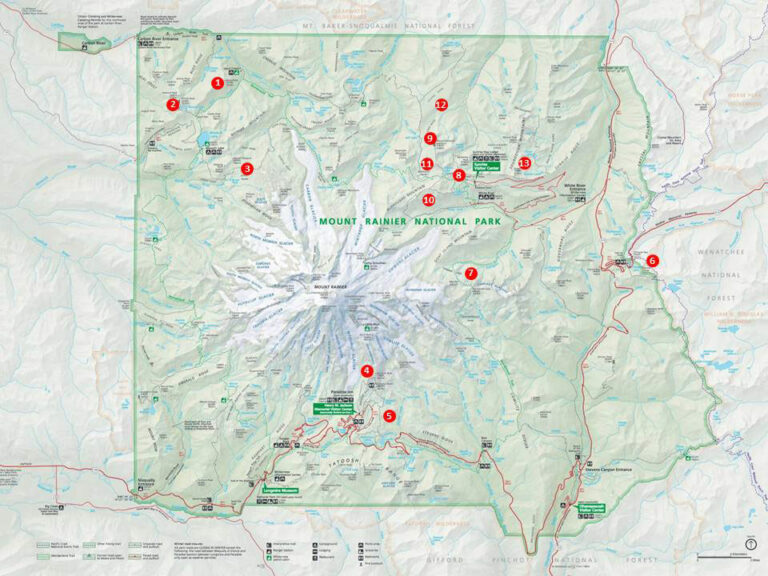 13 Wildflower Hikes of Mount Rainier